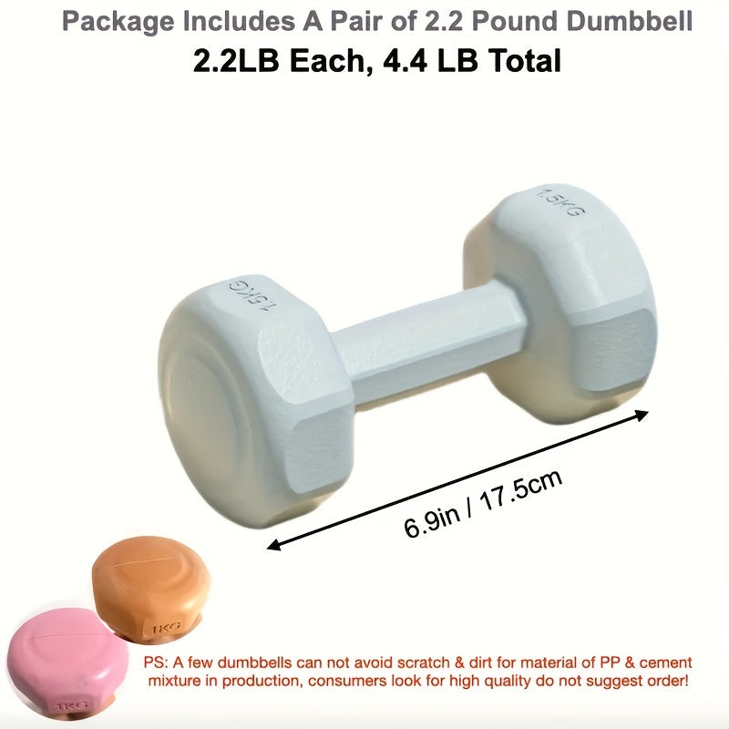 Lightweight Dumbbell Pair for Yoga and Arm Workouts