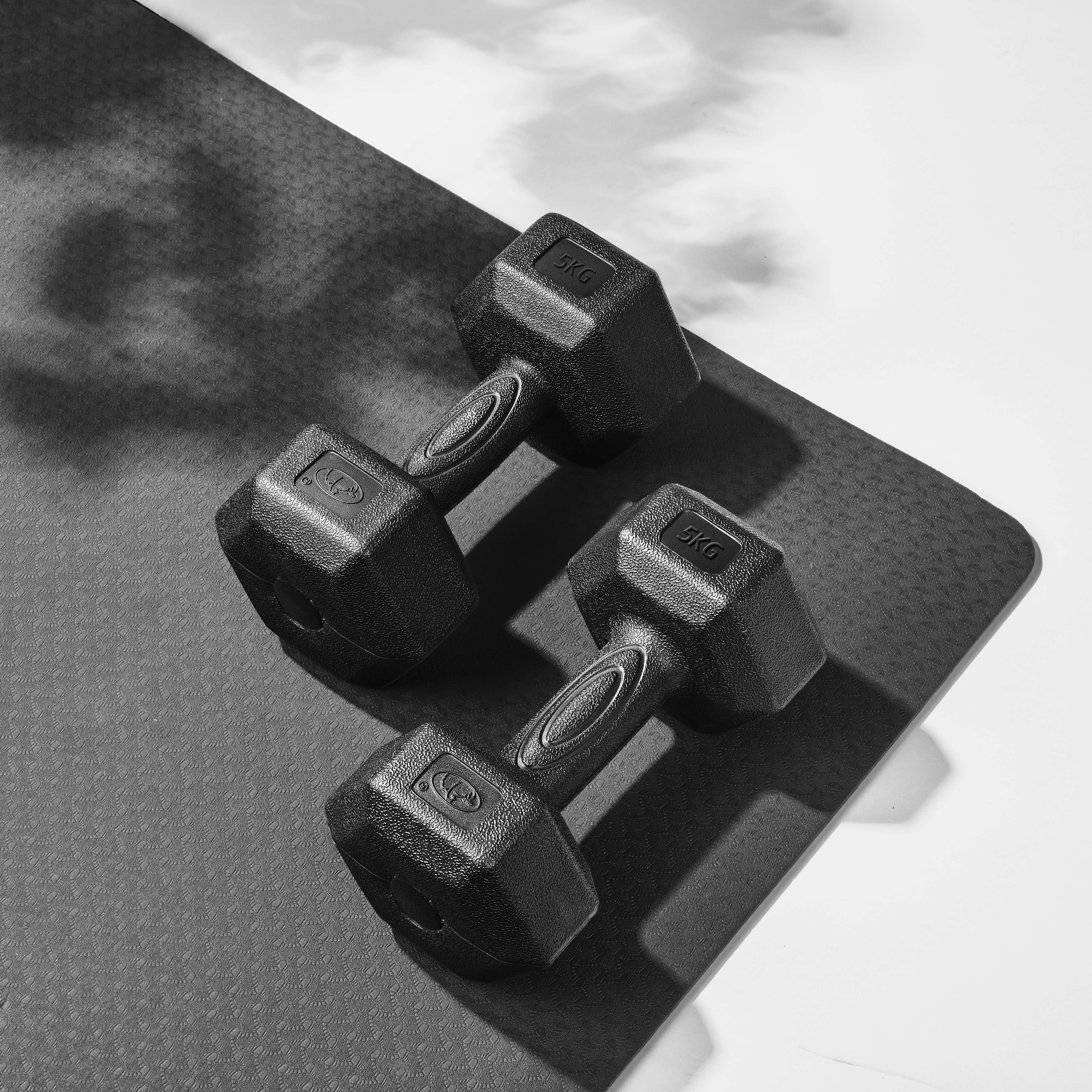 Deluxe Dumbbell Pair for Home and Full-Body Workouts